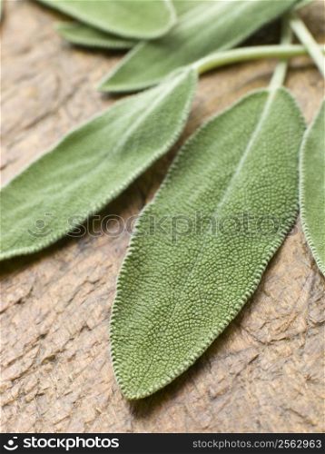 Sage leaves on chopping board