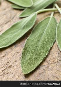 Sage leaves on chopping board