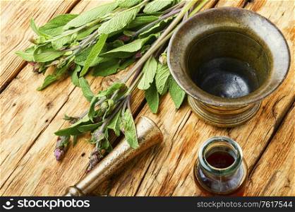 Sage leaves or salvia on rustic wooden table.Healing herbs. Fresh sage herb