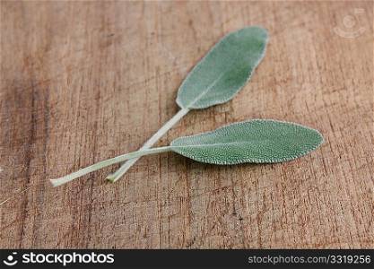 Sage on a wooden background