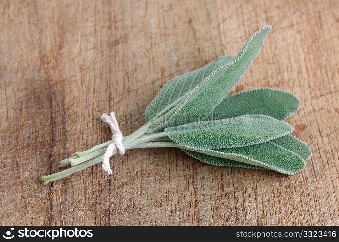 Sage on a wooden background