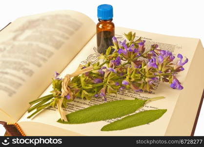 sage with herbal tincture and medieval book