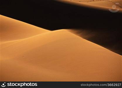 Sahara desert
