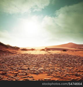 Sahara desert