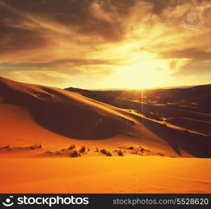 Sahara desert