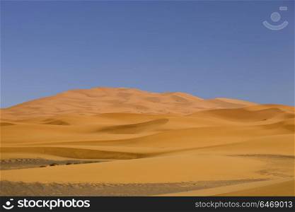 sahara desert dunes, in Morocco