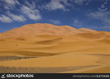 sahara desert dunes, in Morocco. sahara