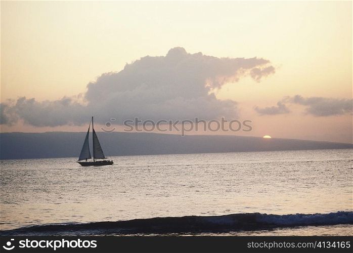 Sail boat in the sea, Hawaii, USA