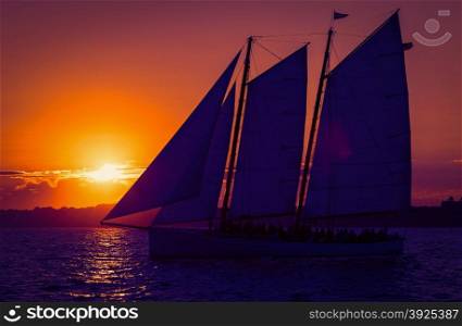 Sail ship at the sunset on the ocean.