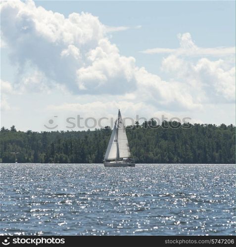 Sailboat in a lake, Lake of The Woods, Ontario, Canada