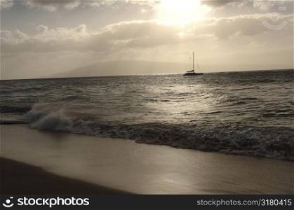 Sailboat in Maui