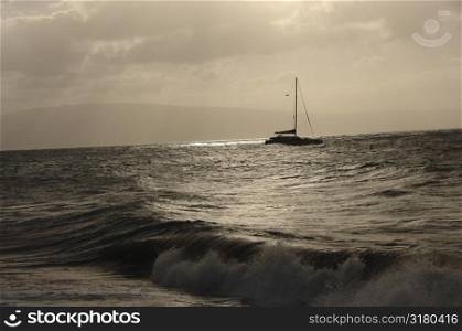 Sailboat in Maui