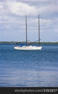 Sailboat in the sea, South Beach, Miami Beach, Florida, USA