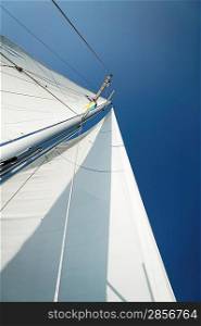 Sailboat Mast and Sail