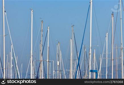 sailboat masts in a marina against blue sky and distant hills