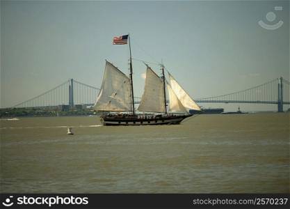Sailboat near a suspension bridge, Brooklyn Bridge, Manhattan, New York City, New York State, USA