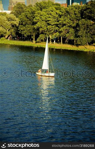 Sailboat on a river, Boston, Massachusetts, USA