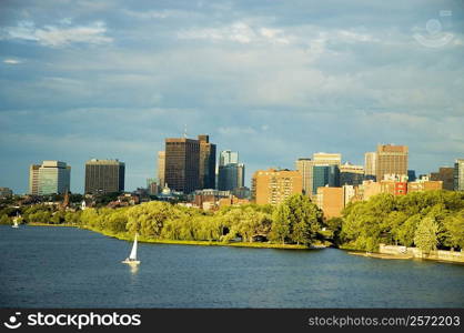 Sailboat on a river, Charles River, Esplanade, Boston, Massachusetts, USA