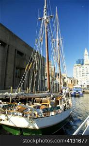 Sailboat on the water, Boston, Massachusetts, USA
