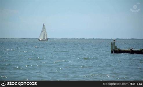 Sailboat sails by a dock