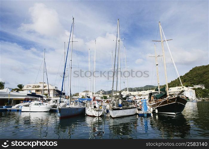 Sailboats docked at a harbor