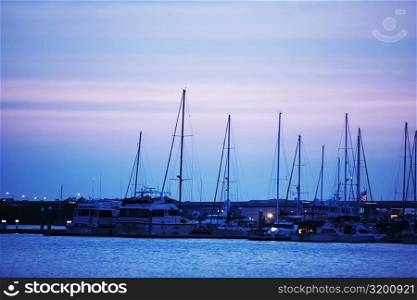 Sailboats docked at a harbor, Charleston, South Carolina, USA