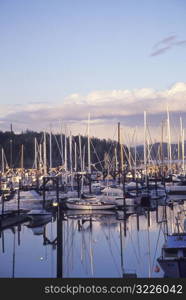 Sailboats Docked in a Bay