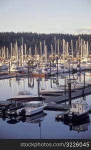 Sailboats Docked in a Bay