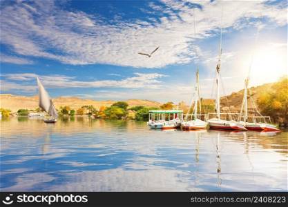 Sailboats in the Nile at sunny day, Asuan, Egypt.