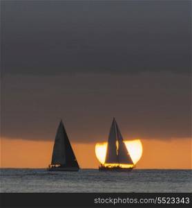 Sailboats in the ocean at sunset, Waikiki, Honolulu, Oahu, Hawaii, USA
