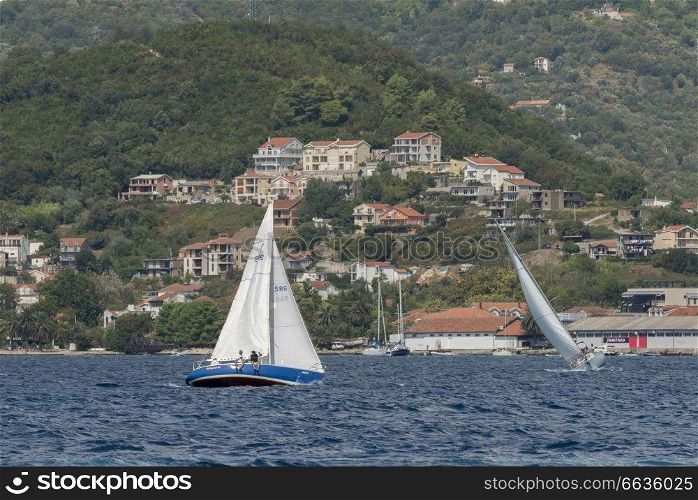 Sailboats in the sea, Bay of Kotor, Montenegro