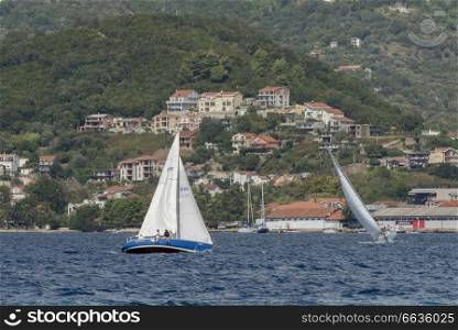 Sailboats in the sea, Bay of Kotor, Montenegro