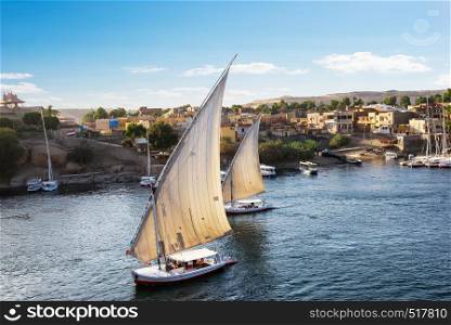 Sailboats in the waters of river Nile in Aswan at sunset, Egypt. Sailboats on Nile in Aswan