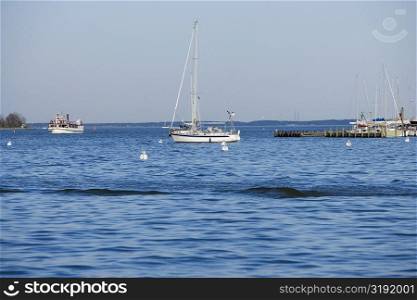 Sailboats in water, Annapolis, Maryland, USA