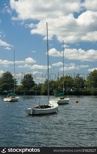 Sailboats moored in the river, Boston, Massachusetts, USA