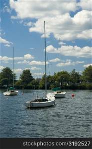 Sailboats moored in the river, Boston, Massachusetts, USA