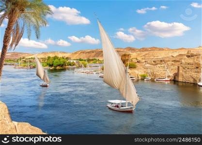 Sailboats of the Nile, famous view of Aswan city, Egypt.. Sailboats of the Nile, famous view of Aswan city, Egypt