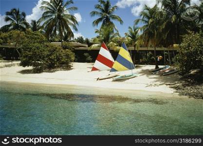 Sailboats on a beach, Caneel bay, U.S. Virgin Islands