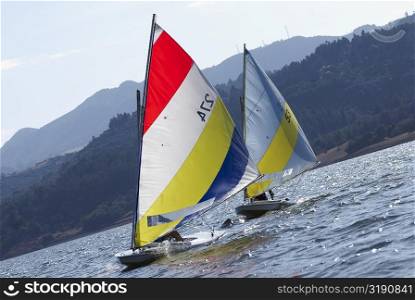 Sailboats participating in a race