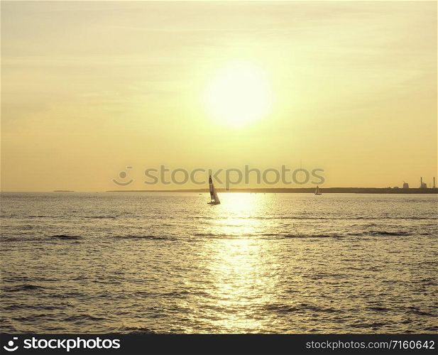 Sailing boat in the sunset of the Gulf of Finland. Sailing boat on the sea at sunset.