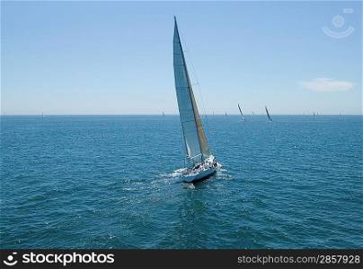 Sailing Race on Ocean