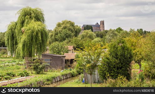 Saint-Etienne Cathedral from the marshes, Bourges, Centre-Val de Loire, France