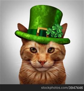 Saint Patricks day cat concept as a fun happy smiling feline pet wearing a leprechuan green hat with shamrock four leaf clover decoration as a march 17 holiday celebration symbol.