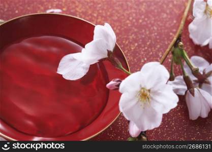 Sake cup and Cherry blossoms