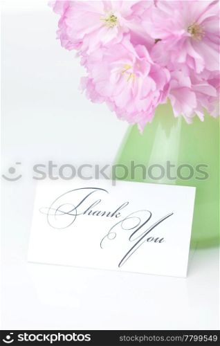 sakura flower in a vase and a card signed thank you isolated on white