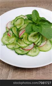 Salad cucumber with radish, dill and mint