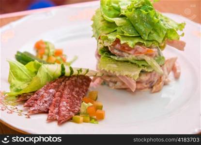 Salad from different kinds of sausages, cucumbers, peppers, lettuce with sour cream sauce