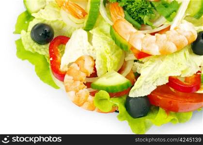salad in plate on white