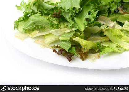 salad isolated on white background