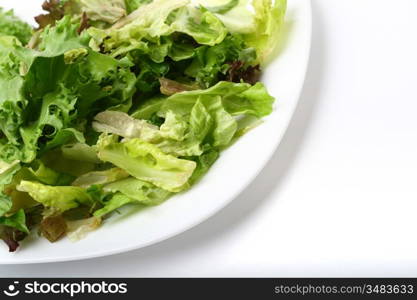 salad isolated on white background